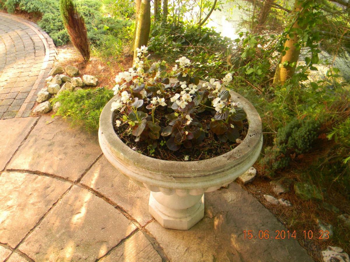 Njoy-Uithof Bed and Breakfast Χάγη Εξωτερικό φωτογραφία